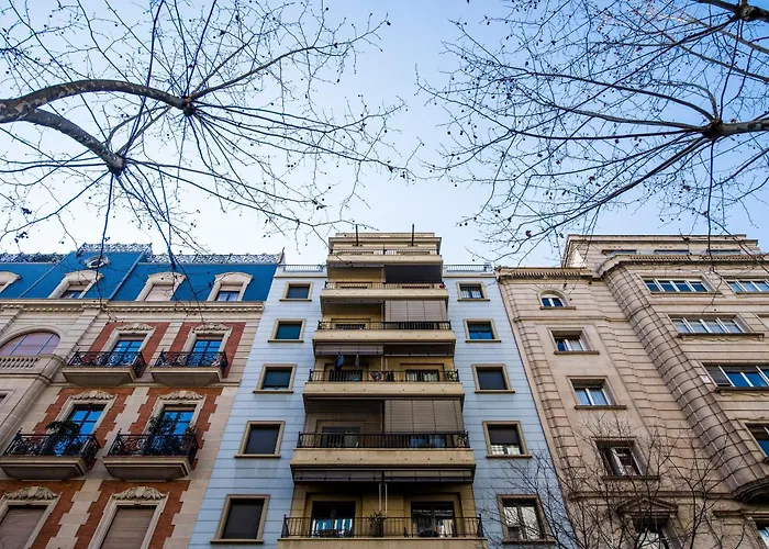C211 Barcelona - Simaba Group